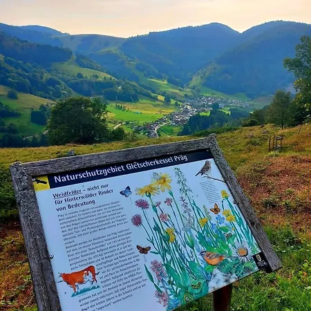 Haus Hees - Urlaub Im Gletscherkessel Praeg Todtnau