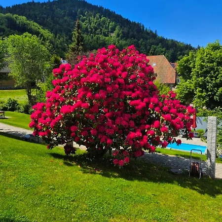 Haus Hees - Urlaub Im Gletscherkessel Praeg Apartamento *