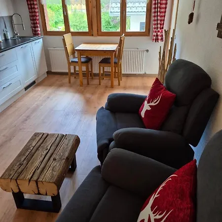 Apartamento Haus Hees - Urlaub Im Gletscherkessel Praeg Todtnau